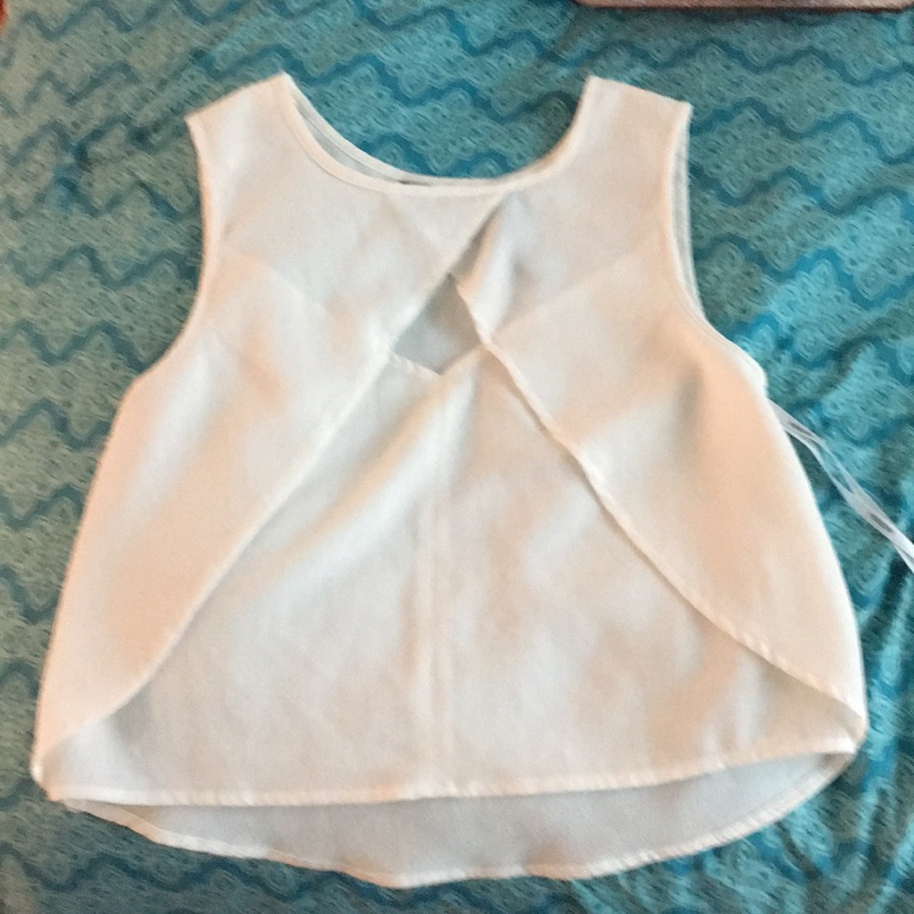 Mink Pink Top